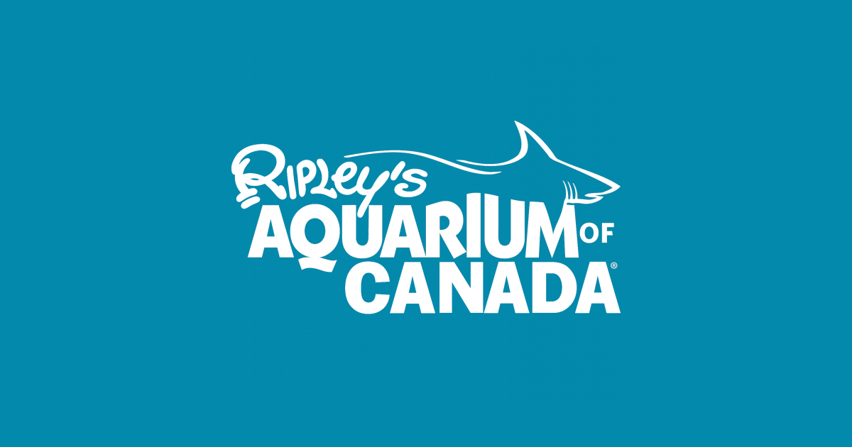30 Off Ripley's Aquarium Coupons December 2019 WagJag